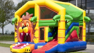  Hüpfburg Multiplay Löwe mit Dach 