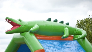  Hüpfburg Multifun Krokodil 