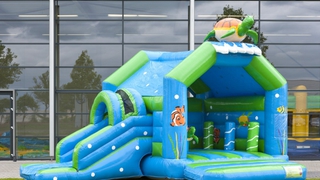  Hüpfburg Multifun Schildkröte 