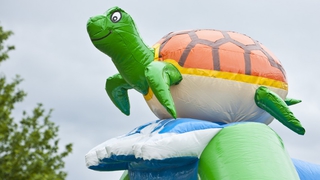  Hüpfburg Multifun Schildkröte 