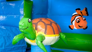  Hüpfburg Multifun Schildkröte 
