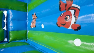  Hüpfburg Multifun Schildkröte 