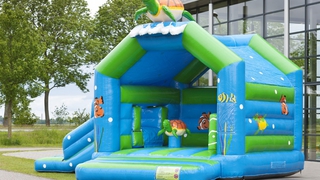  Hüpfburg Multifun Schildkröte 