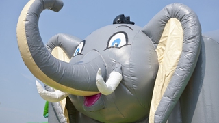  Hüpfburg Shooter Challenge Elefant 