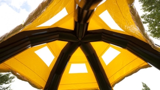  Spider Zelt schwarz gelb 