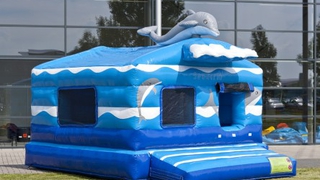 Hüpfburg Standard Bällebad Seaworld 