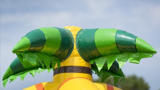 Spielinsel Dschungel 
