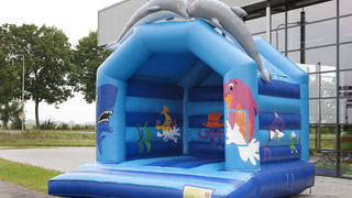 Hüpfburg Standard Delfin