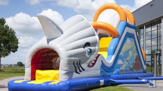 Rutsche Shark Attack 