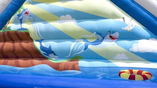 Rutsche Shark Attack 