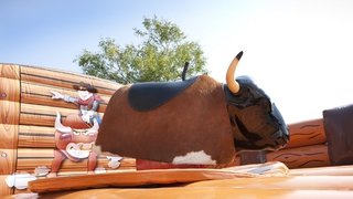 Bullriding Rodeobulle 