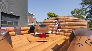 Bullriding Rodeobulle 