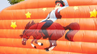 Bullriding Western 