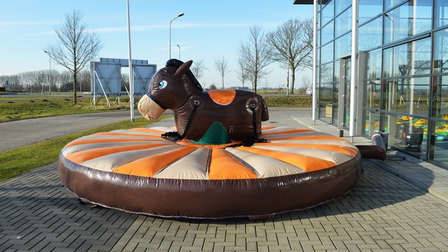 Pullriding Esel 