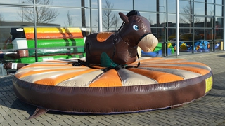Pullriding Esel 