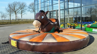 Pullriding Esel 