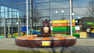 Pullriding Esel 
