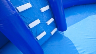 Wasserwelt Hai 