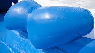 Wasserwelt Hai 