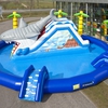 Wasserwelt Hai 
