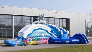 Wasserwelt Delfin und Elefant 