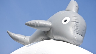 Wasserwelt Delfin und Elefant 