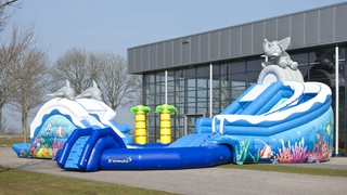 Wasserwelt Delfin und Elefant 