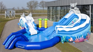 Wasserwelt Delfin und Elefant 