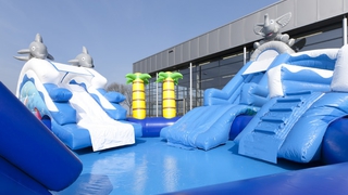 Wasserwelt Delfin und Elefant 