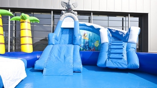 Wasserwelt Delfin und Elefant 