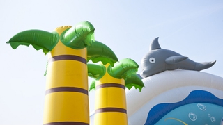 Wasserwelt Delfin und Elefant 