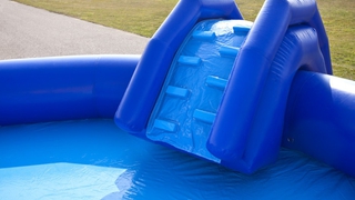 Wasserwelt Delfin und Elefant 