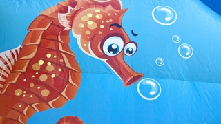 Wasserwelt Delfin und Elefant 