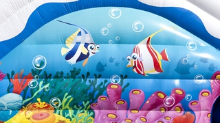 Wasserwelt Delfin und Elefant 