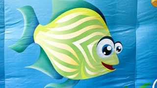 Wasserwelt Delfin und Elefant 
