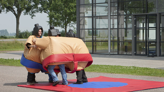 Sumo Erwachsene Zwilling 