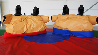 Sumo Erwachsene Zwilling 