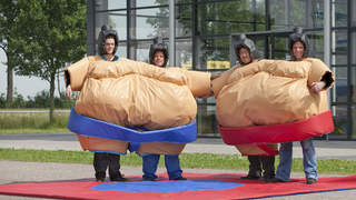 Sumo Erwachsene Zwilling 