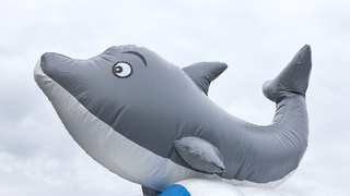 Tunnel Delfin 