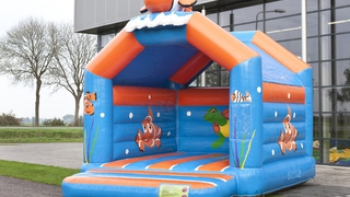 Hüpfburg Standard Clownfisch