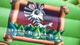 Zug Safari 