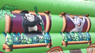Zug Safari 