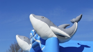 Delfin  Standard Hüpfburg 