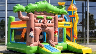 Hüpfburg Multiplay Märchenwald 