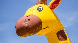 Hüpfburg Multiplay Giraffe 