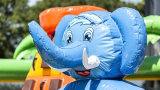 Hüpfburg Multiplay Super Dschungel 