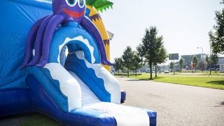 Hüpfburg Multifun Super Clownfisch 