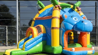 Hüpfburg Multifun Super Nilpferd 