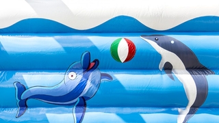 Hüpfburg Multifun Delfin  