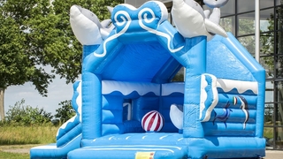 Hüpfburg Multifun Delfin  